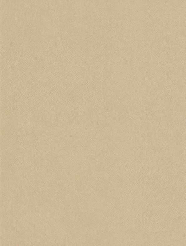 Plakfolie-leer-linen-zandbeige-lederlook-interieurfolie-wrapnfoil-1